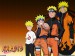 NARUTO (5)